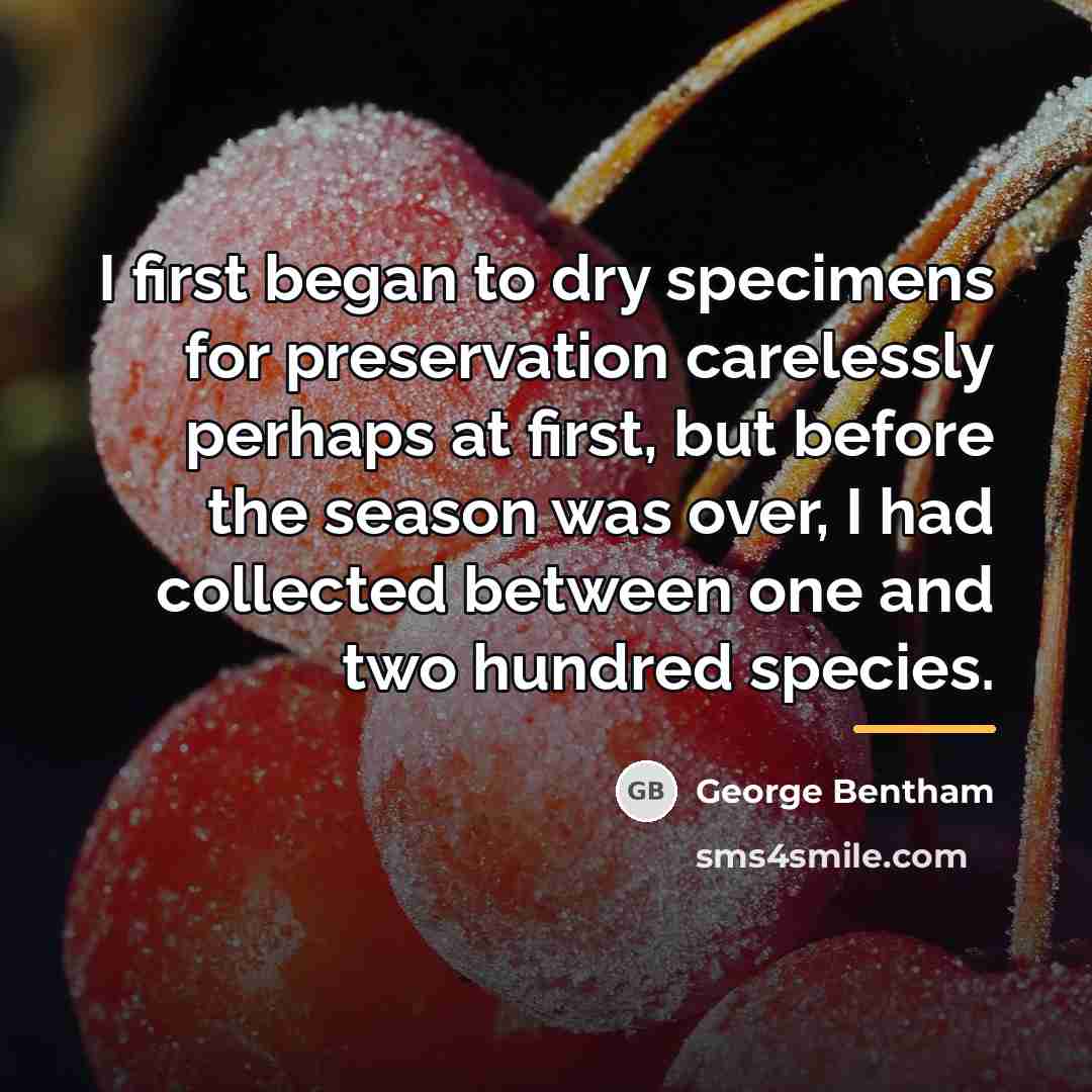 “I first began to dry specimens for preservation carelessly perhaps…” quote by George Bentham