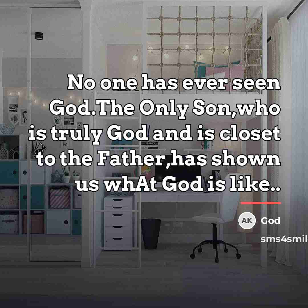 “No one has ever seen God.The Only Son,who is truly…” quote by God