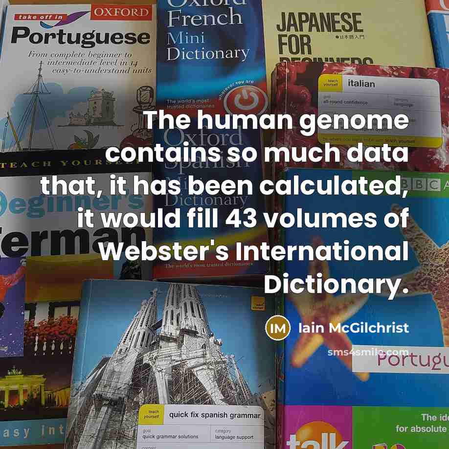 “The human genome contains so much data that, it has…” quote by Iain McGilchrist
