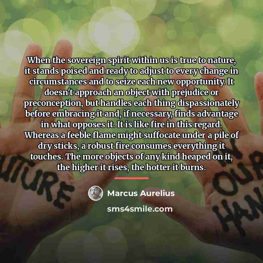 “When the sovereign spirit within us is true to nature,…” quote by Marcus Aurelius