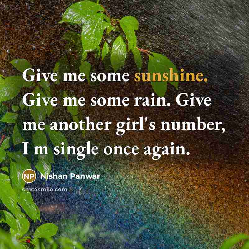 “Give me some sunshine. Give me some rain. Give me another girl's number, I m single once again.” quote by Nishan Panwar