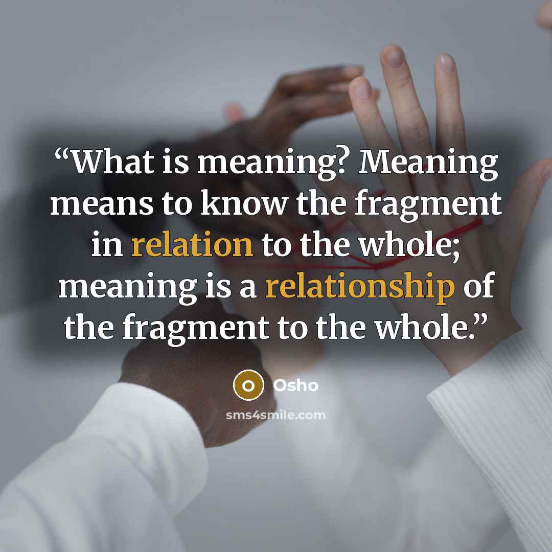 “What is meaning? Meaning means to know the fragment in relation to the whole; meaning is a relationship of the fragment to the whole.” quote by Osho