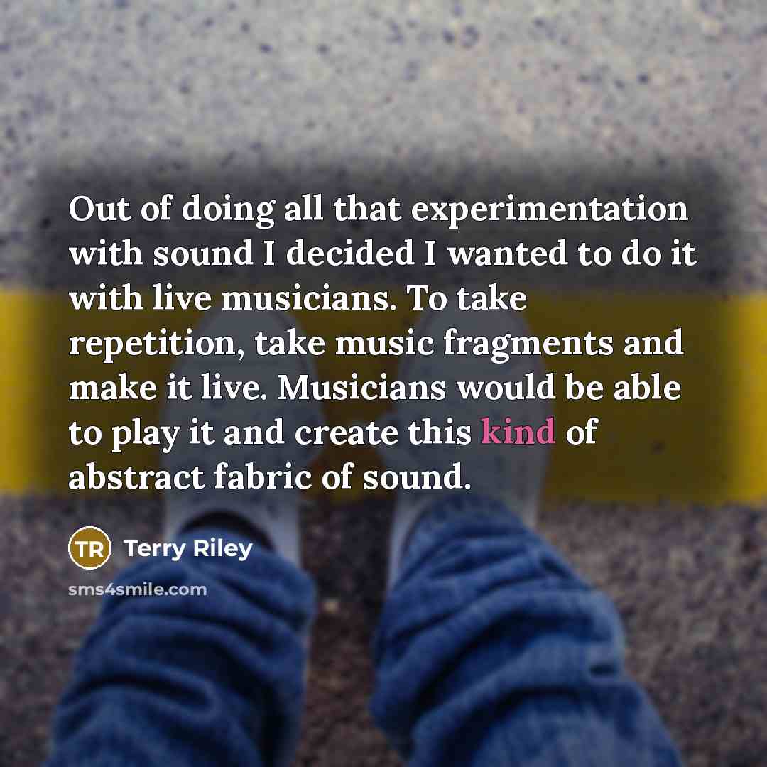 “Out of doing all that experimentation with sound I decided…” quote by Terry Riley