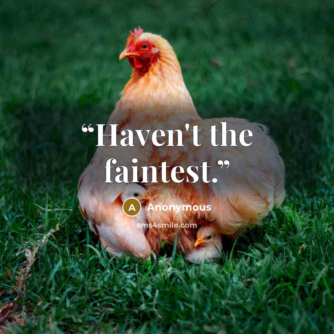 “Haven't the faintest.” quote by Anonymous