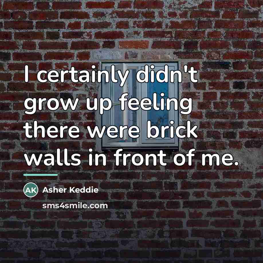 “I certainly didn't grow up feeling there were brick walls…” quote by Asher Keddie