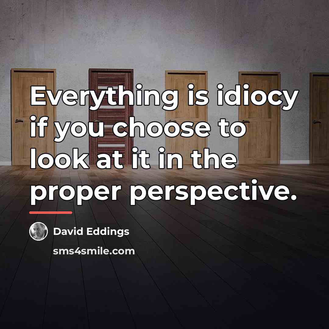 “Everything is idiocy if you choose to look at it…” quote by David Eddings