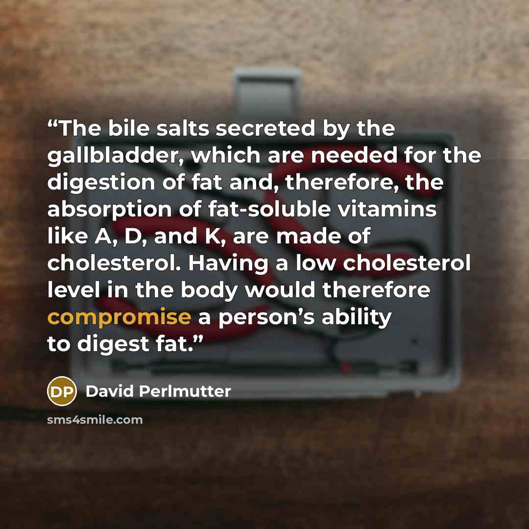 “The bile salts secreted by the gallbladder, which are needed for the digestion of fat and, therefore, the absorption of fat-soluble vitamins like A, D, and K, are made of cholesterol. Having a low cholesterol level in the body would therefore compromise a person’s ability to digest fat.” quote by David Perlmutter
