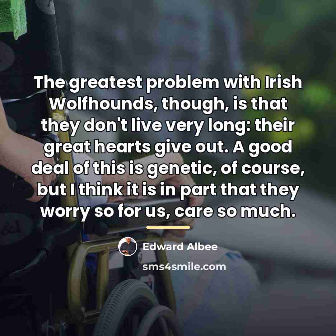 “The greatest problem with Irish Wolfhounds, though, is that they…” quote by Edward Albee