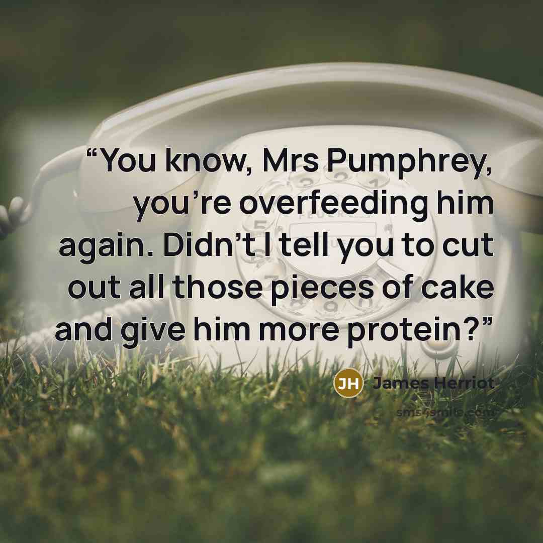 “You know, Mrs Pumphrey, you're overfeeding him again. Didn't I tell you to cut out all those pieces of cake and give him more protein?” quote by James Herriot