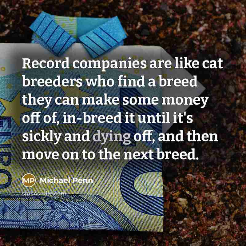 “Record companies are like cat breeders who find a breed…” quote by Michael Penn