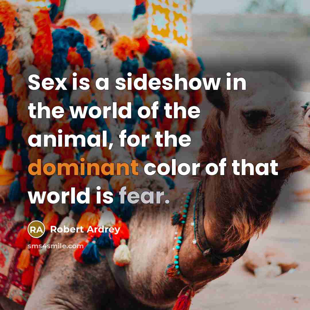 “Sex is a sideshow in the world of the animal,…” quote by Robert Ardrey