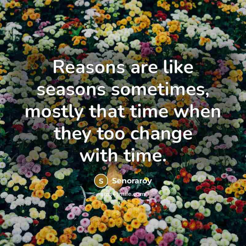 “Reasons are like seasons sometimes, mostly that time when they too change with time.” quote by Senoraroy