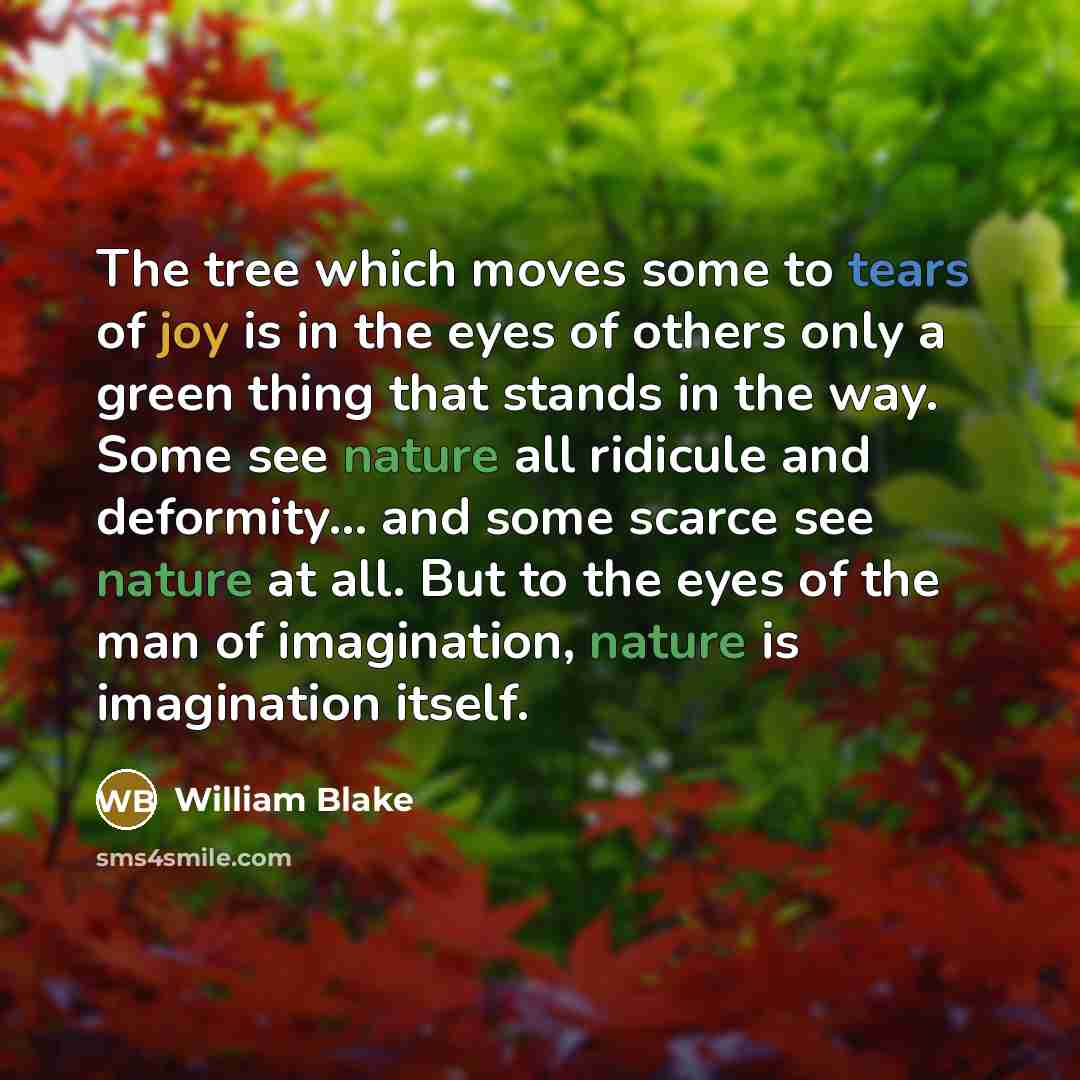 “The tree which moves some to tears of joy is in the eyes of others only a green thing that stands in the way. Some see nature all ridicule and deformity... and some scarce see nature at all. But to the eyes of the man of imagination, nature is imagination itself.” quote by William Blake