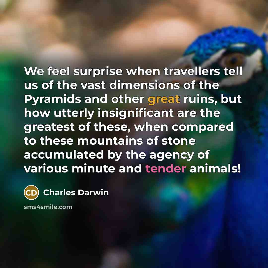 “We feel surprise when travellers tell us of the vast…” quote by Charles Darwin