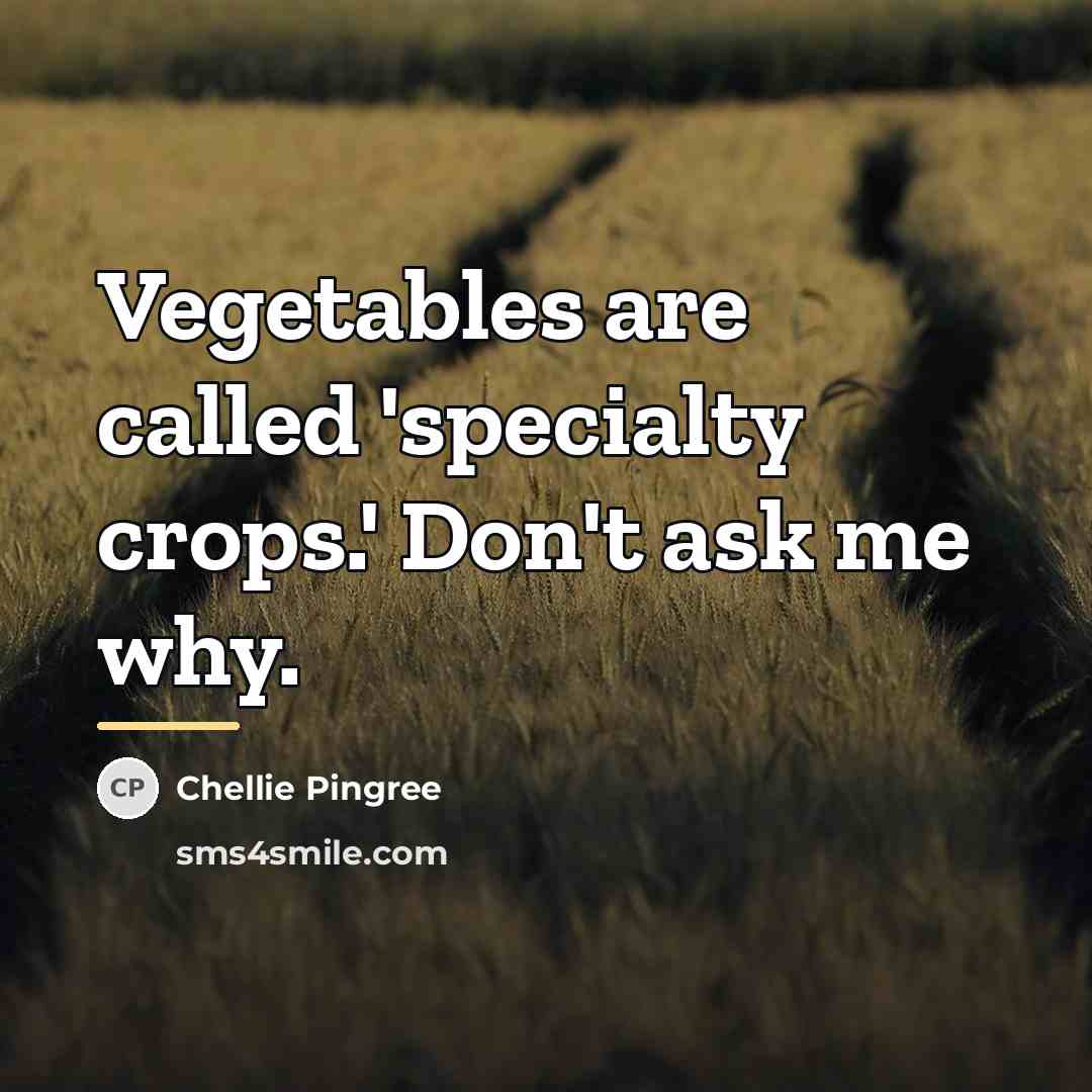 “Vegetables are called 'specialty crops.' Don't ask me why.…” quote by Chellie Pingree