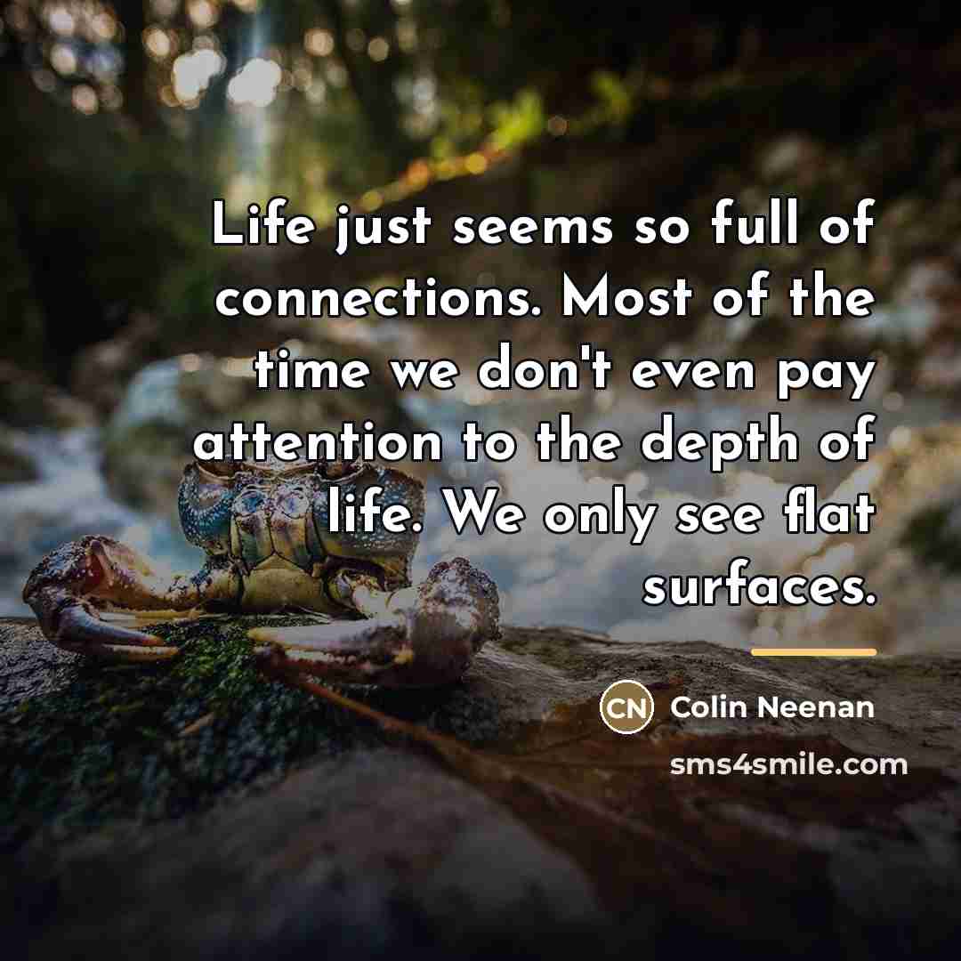 “Life just seems so full of connections. Most of the…” quote by Colin Neenan