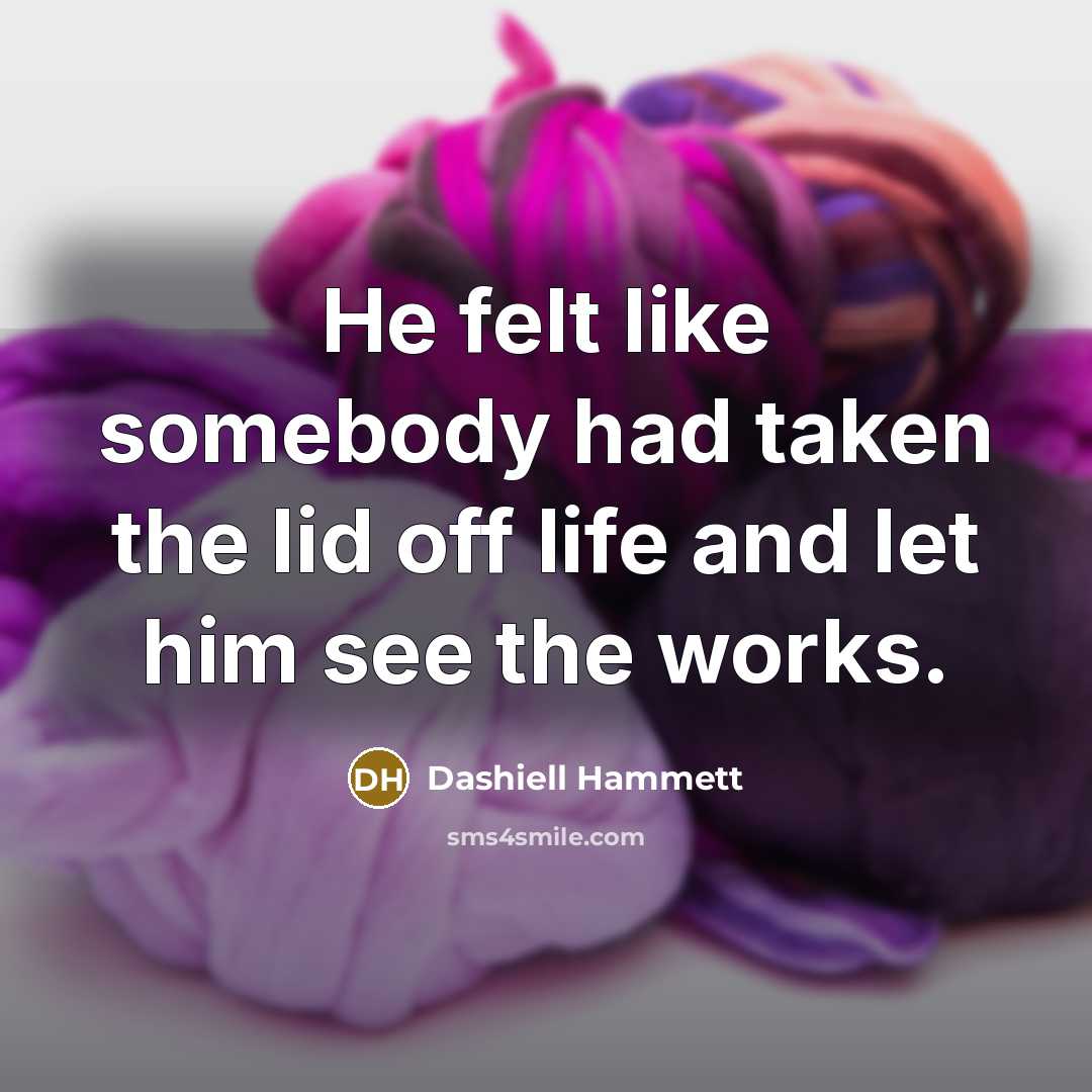 “He felt like somebody had taken the lid off life…” quote by Dashiell Hammett