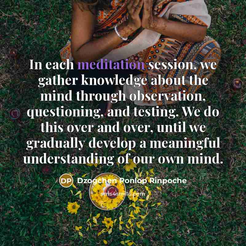 “In each meditation session, we gather knowledge about the mind…” quote by Dzogchen Ponlop Rinpoche