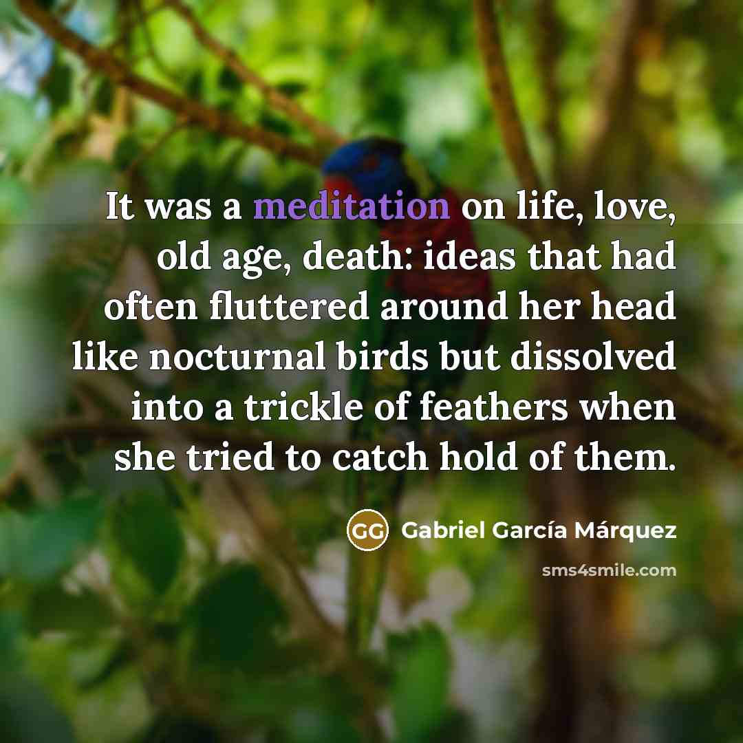 “It was a meditation on life, love, old age, death:…” quote by Gabriel Garcia Marquez