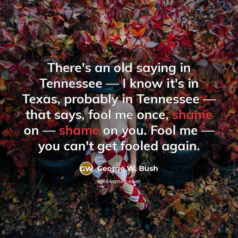 “There's an old saying in Tennessee — I know it's…” quote by George W. Bush