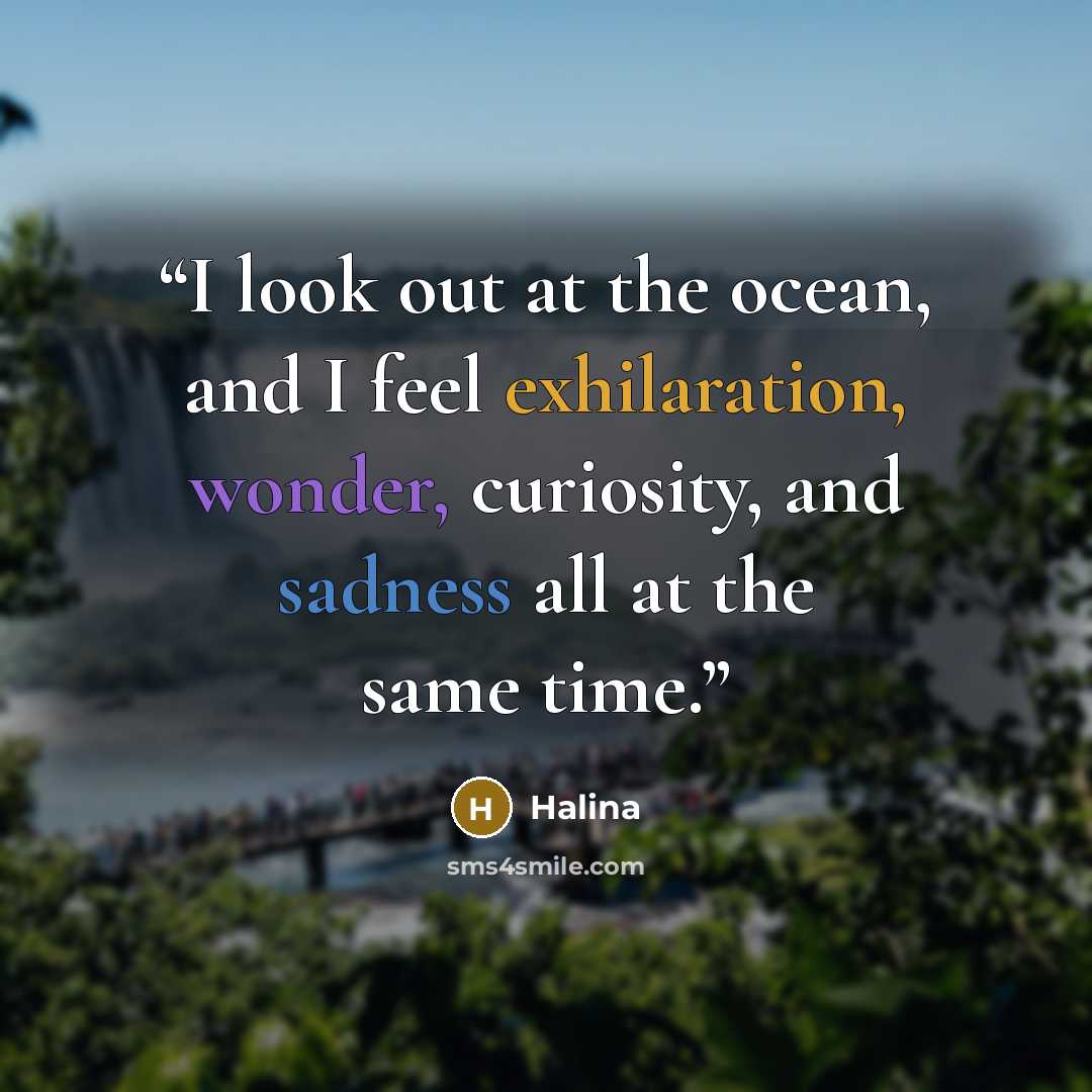 “I look out at the ocean, and I feel exhilaration, wonder, curiosity, and sadness all at the same time.” quote by Halina