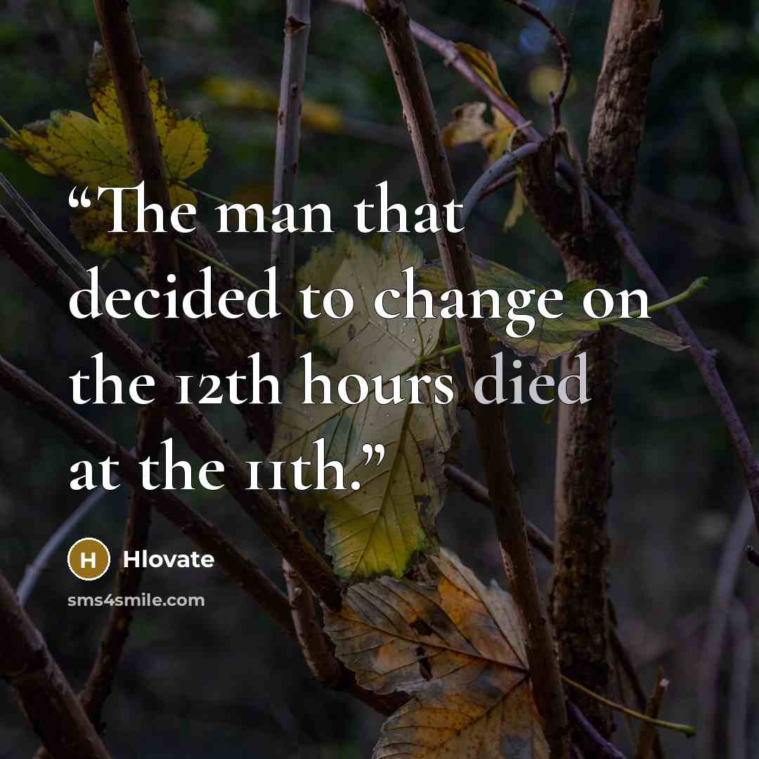 “The man that decided to change on the 12th hours died at the 11th.” quote by Hlovate