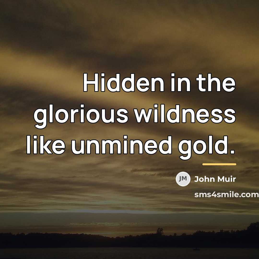 “Hidden in the glorious wildness like unmined gold.…” quote by John Muir