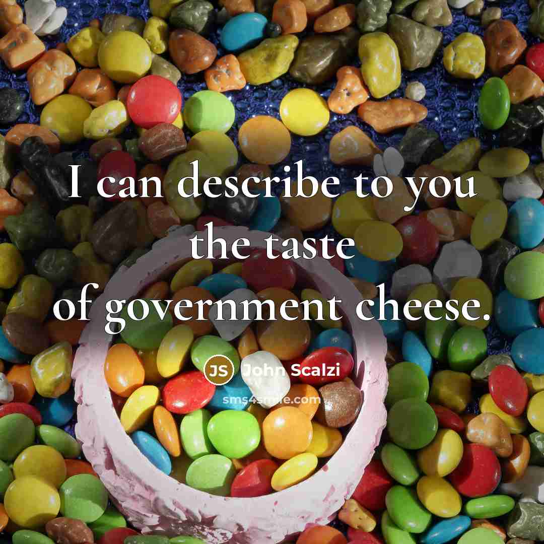 “I can describe to you the taste of government cheese.…” quote by John Scalzi