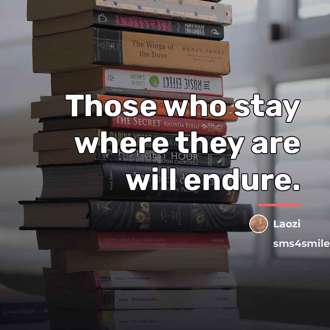 “Those who stay where they are will endure.…” quote by Laozi