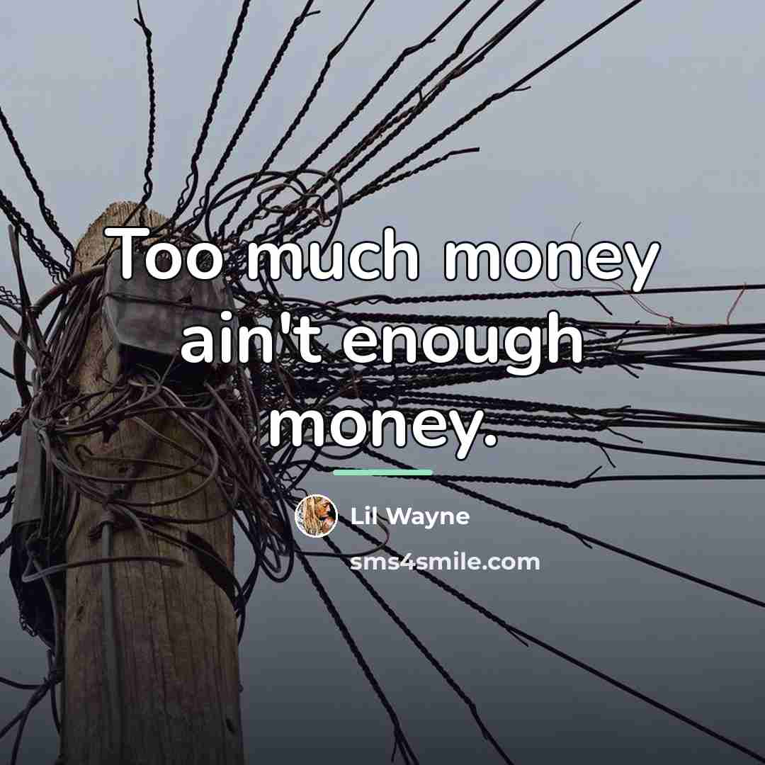 “Too much money ain't enough money.…” quote by Lil Wayne