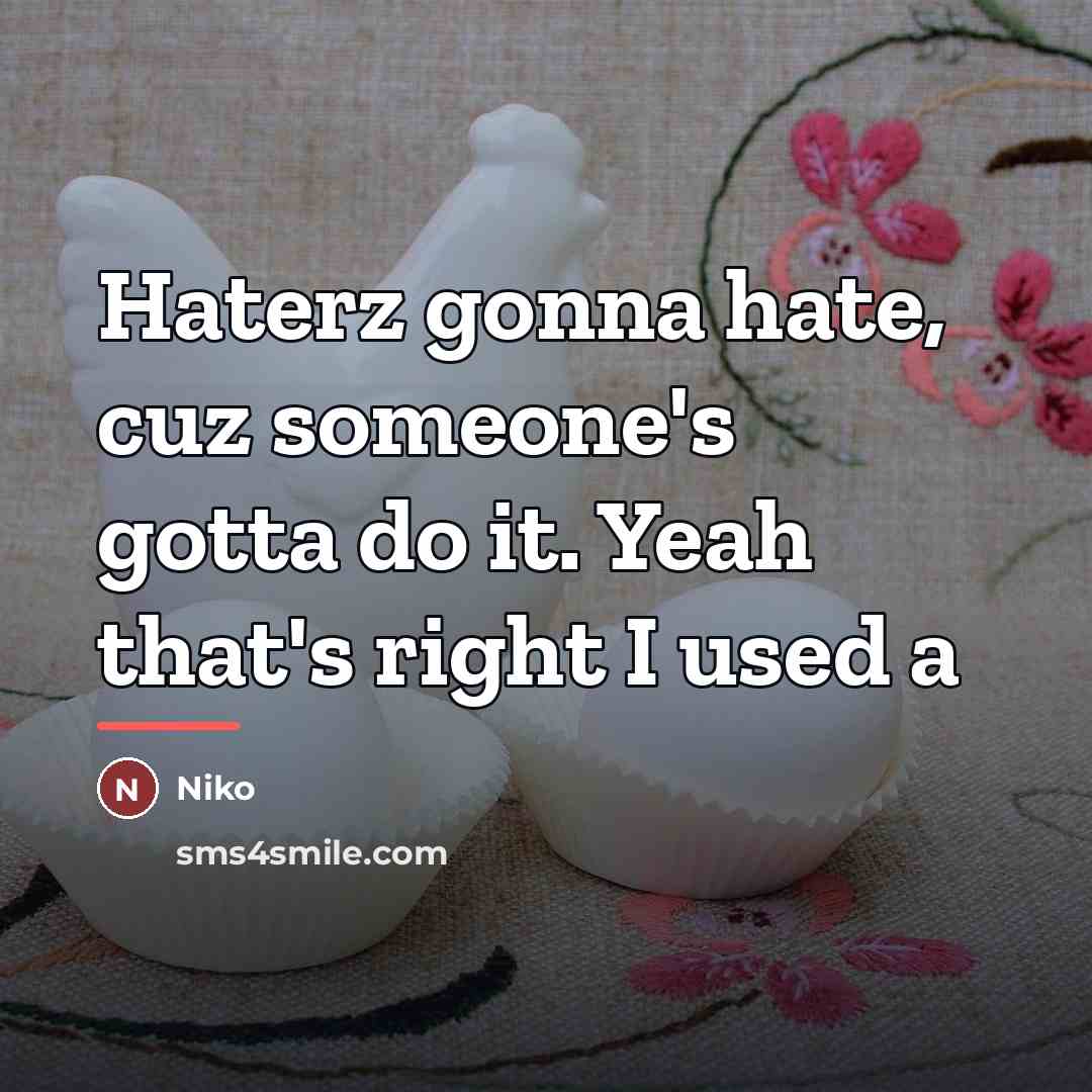 “Haterz gonna hate, cuz someone's gotta do it. Yeah that's…” quote by Niko