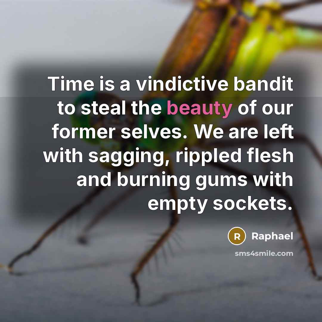 “Time is a vindictive bandit to steal the beauty of…” quote by Raphael