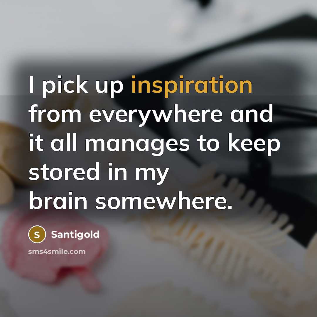 “I pick up inspiration from everywhere and it all manages…” quote by Santigold