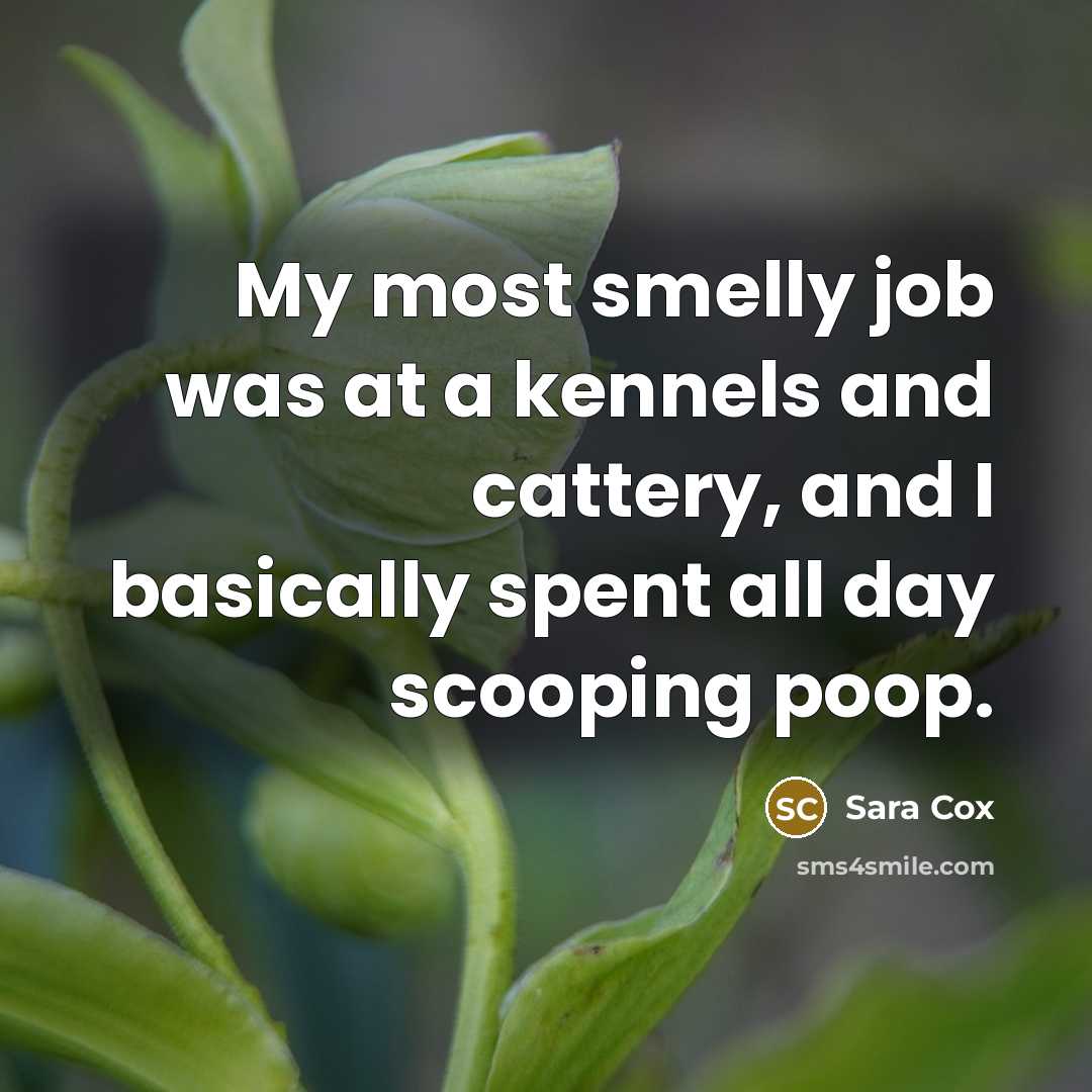 “My most smelly job was at a kennels and cattery,…” quote by Sara Cox