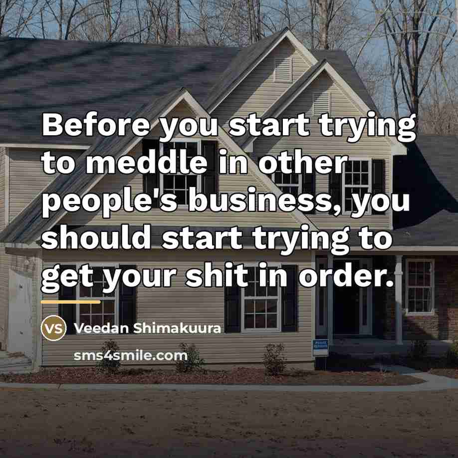 “Before you start trying to meddle in other people's business,…” quote by Veedan Shimakuura