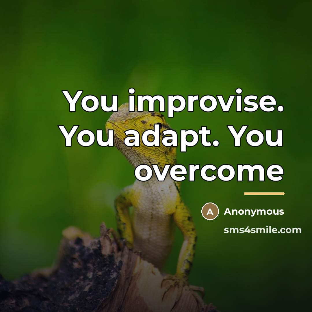 “You improvise. You adapt. You overcome…” quote by Anonymous