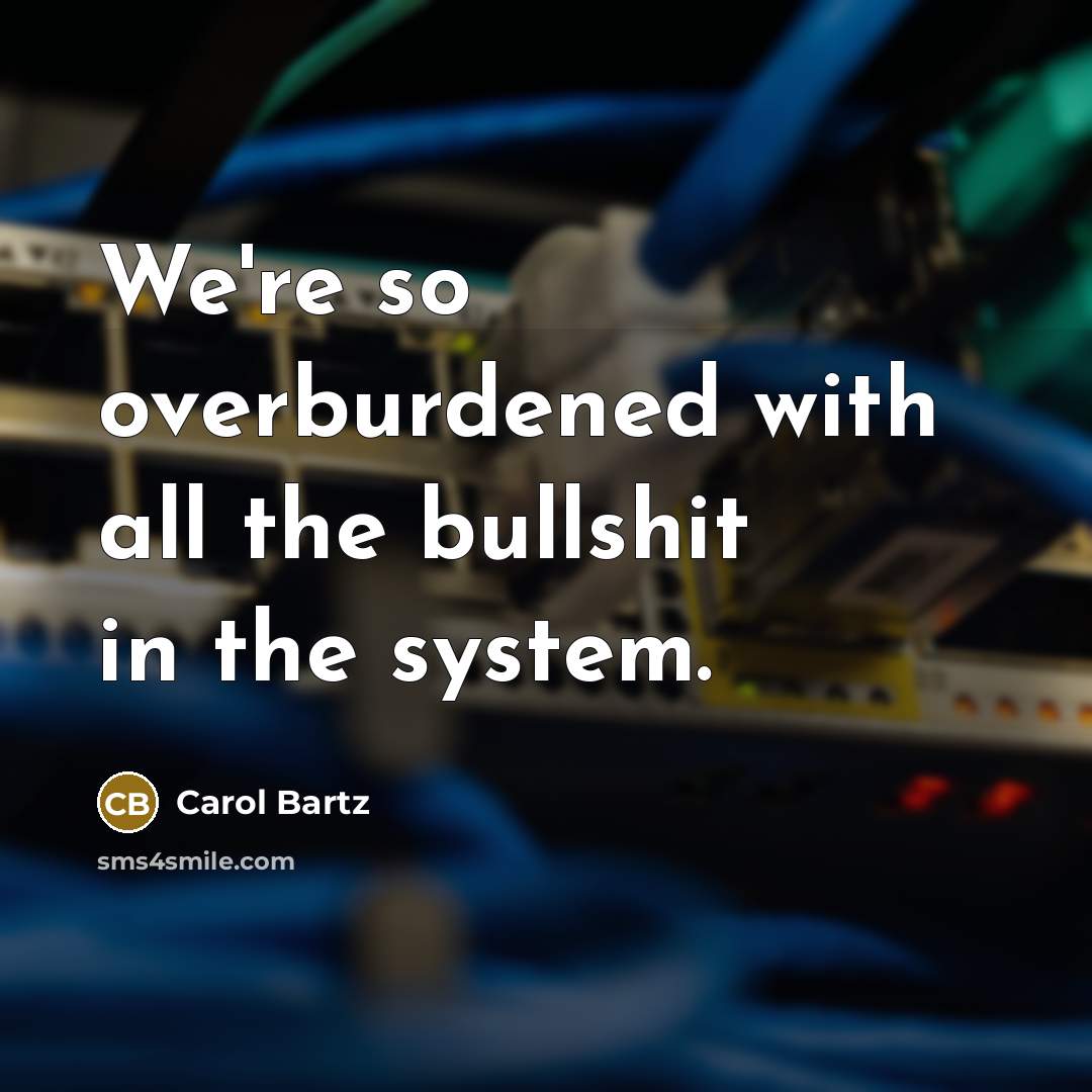 “We're so overburdened with all the bullshit in the system.” quote by Carol Bartz