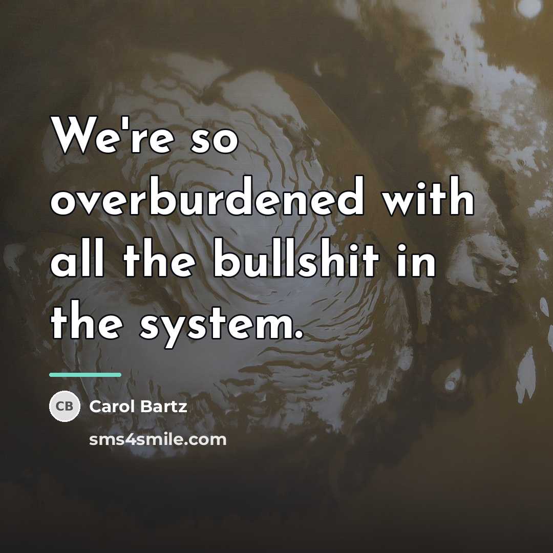 “We're so overburdened with all the bullshit in the system.…” quote by Carol Bartz