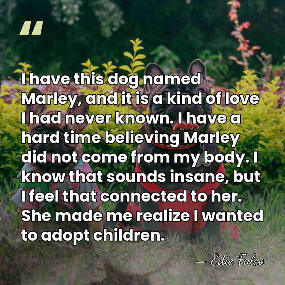 I have this dog named Marley, and it is a kind of&hellip; - Edie Falco