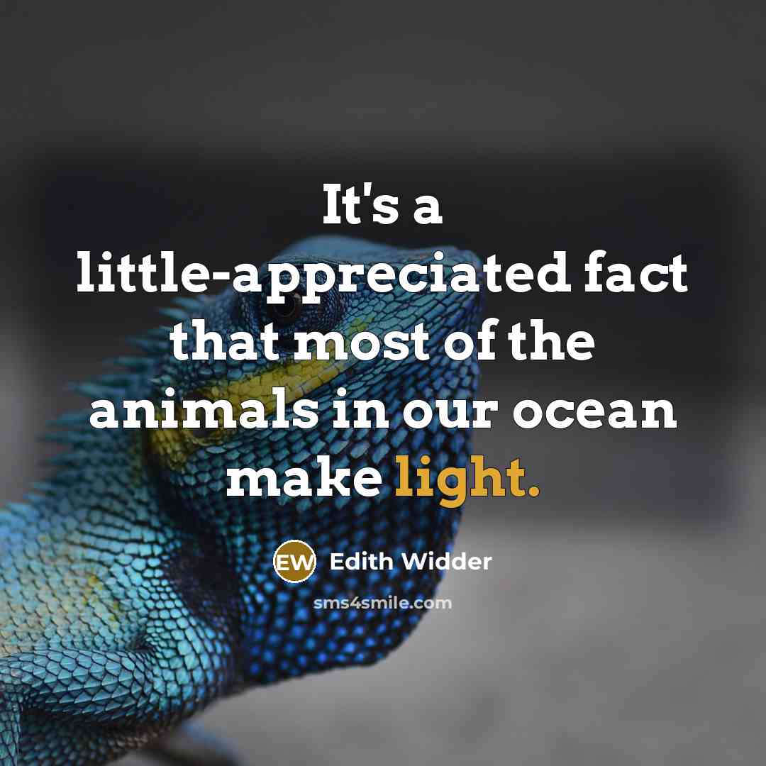“It's a little-appreciated fact that most of the animals in…” quote by Edith Widder
