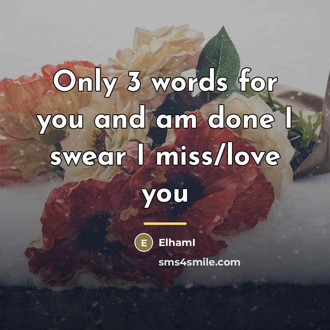 “Only 3 words for you and am done I swear…” quote by ElhamI