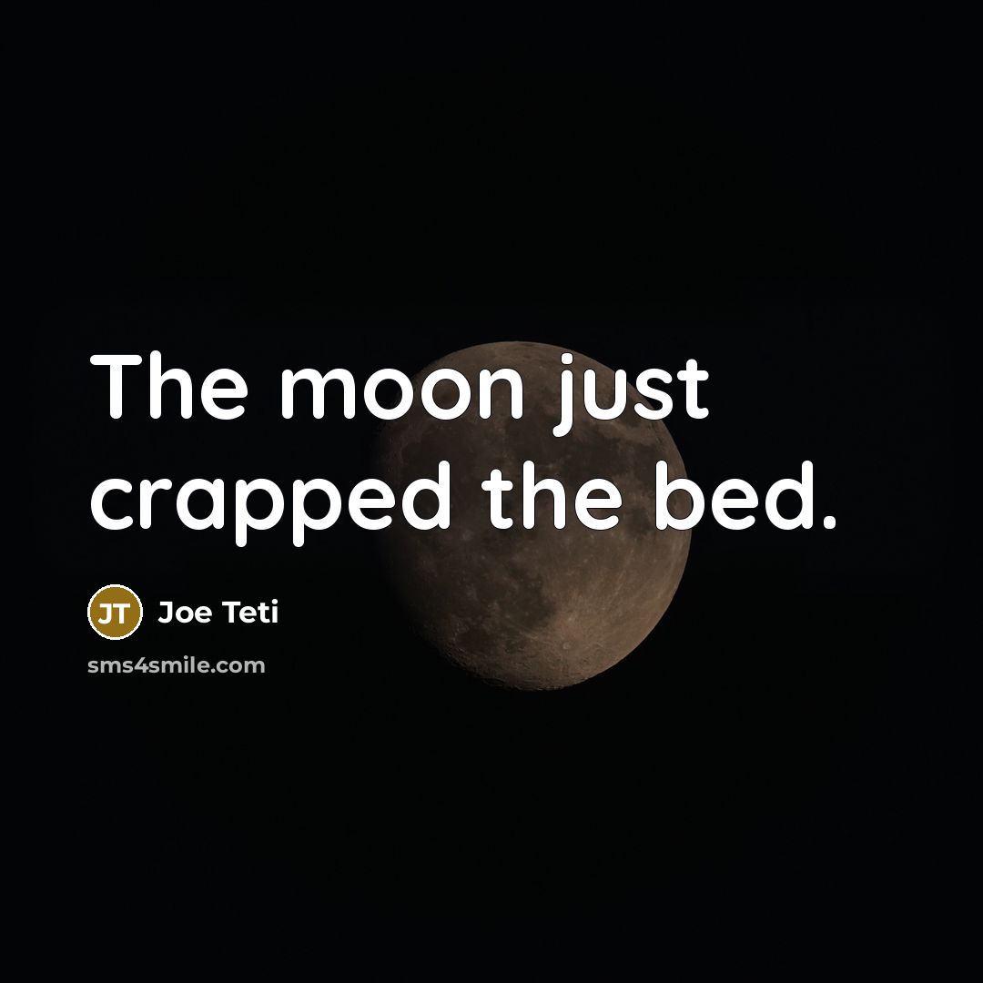 “The moon just crapped the bed.…” quote by Joe Teti
