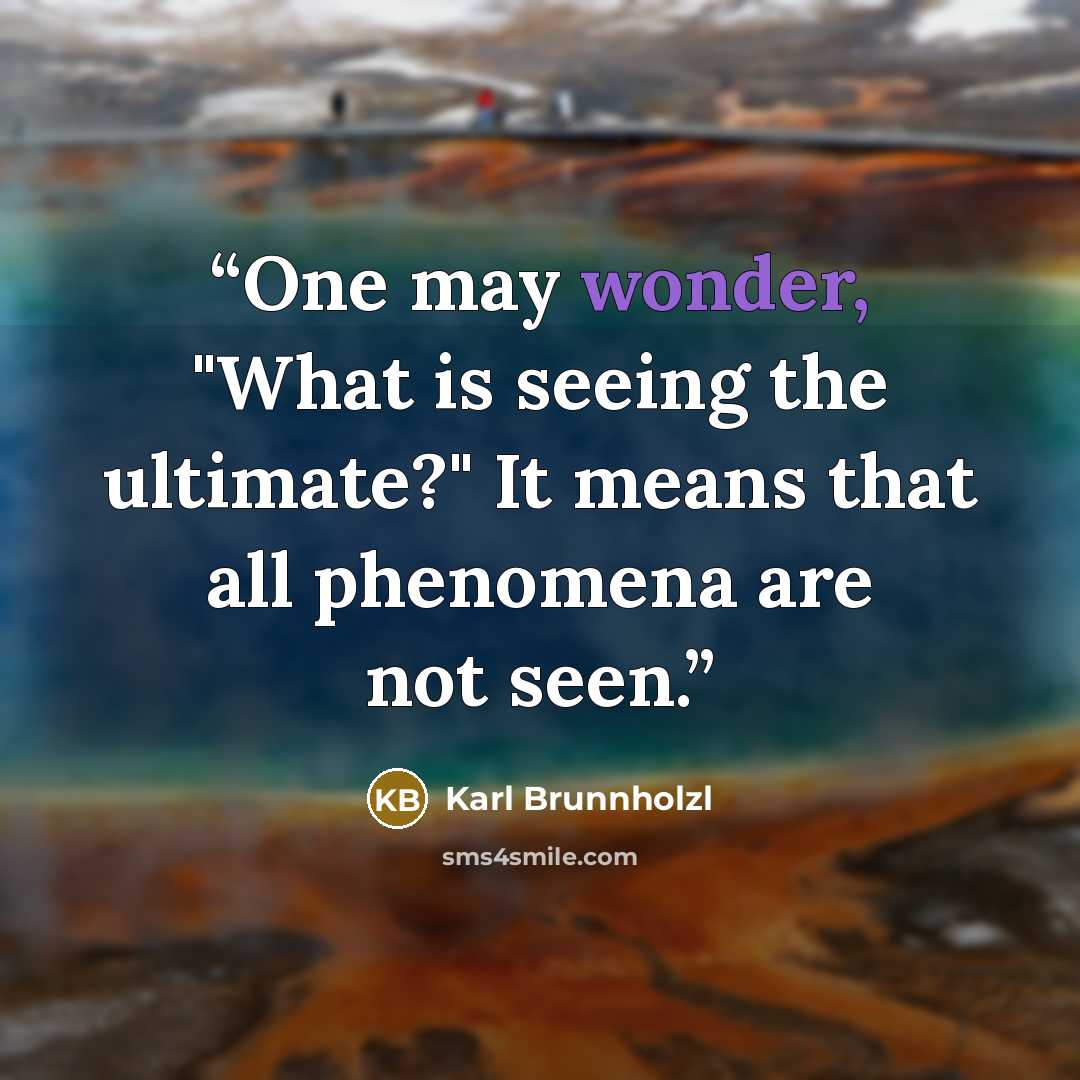 “One may wonder, "What is seeing the ultimate?" It means that all phenomena are not seen.” quote by Karl Brunnholzl