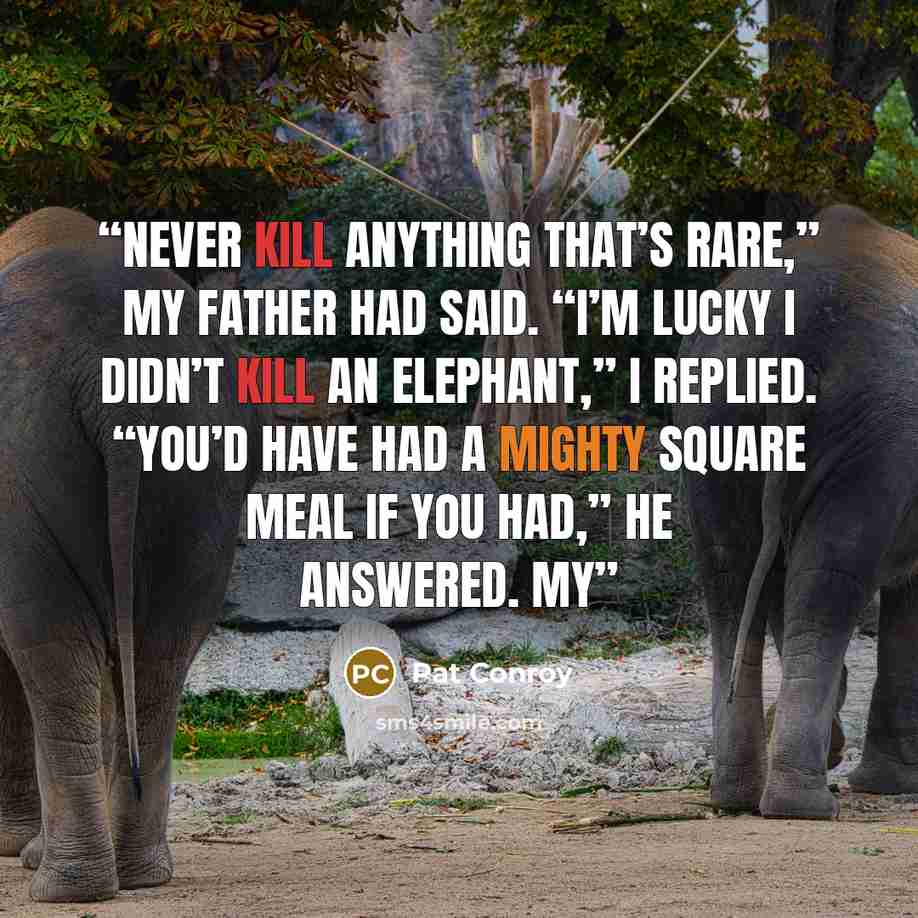 “Never kill anything that’s rare,” my father had said. “I’m lucky I didn’t kill an elephant,” I replied. “You’d have had a mighty square meal if you had,” he answered. My” quote by Pat Conroy