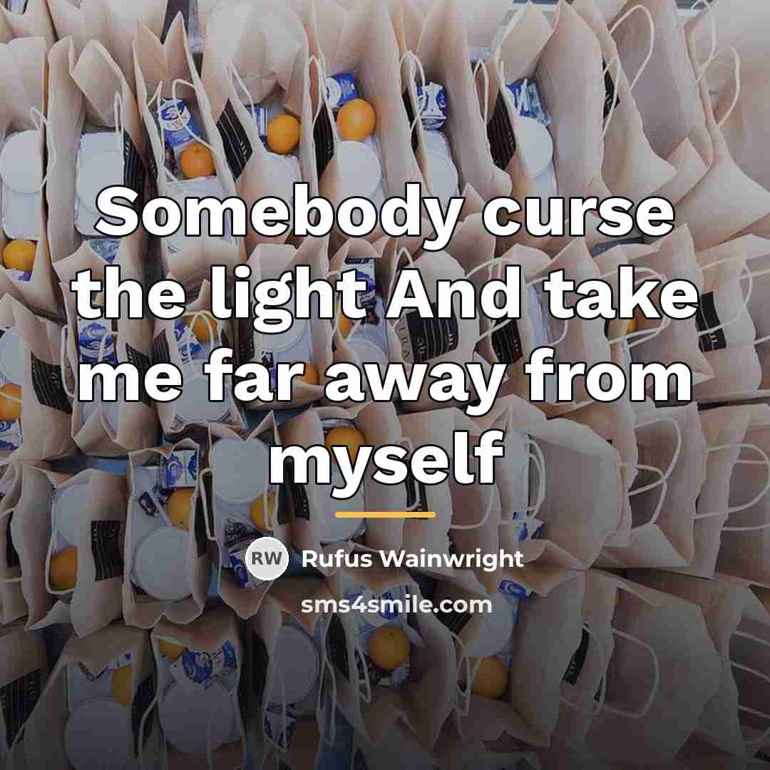 “Somebody curse the light And take me far away from…” quote by Rufus Wainwright
