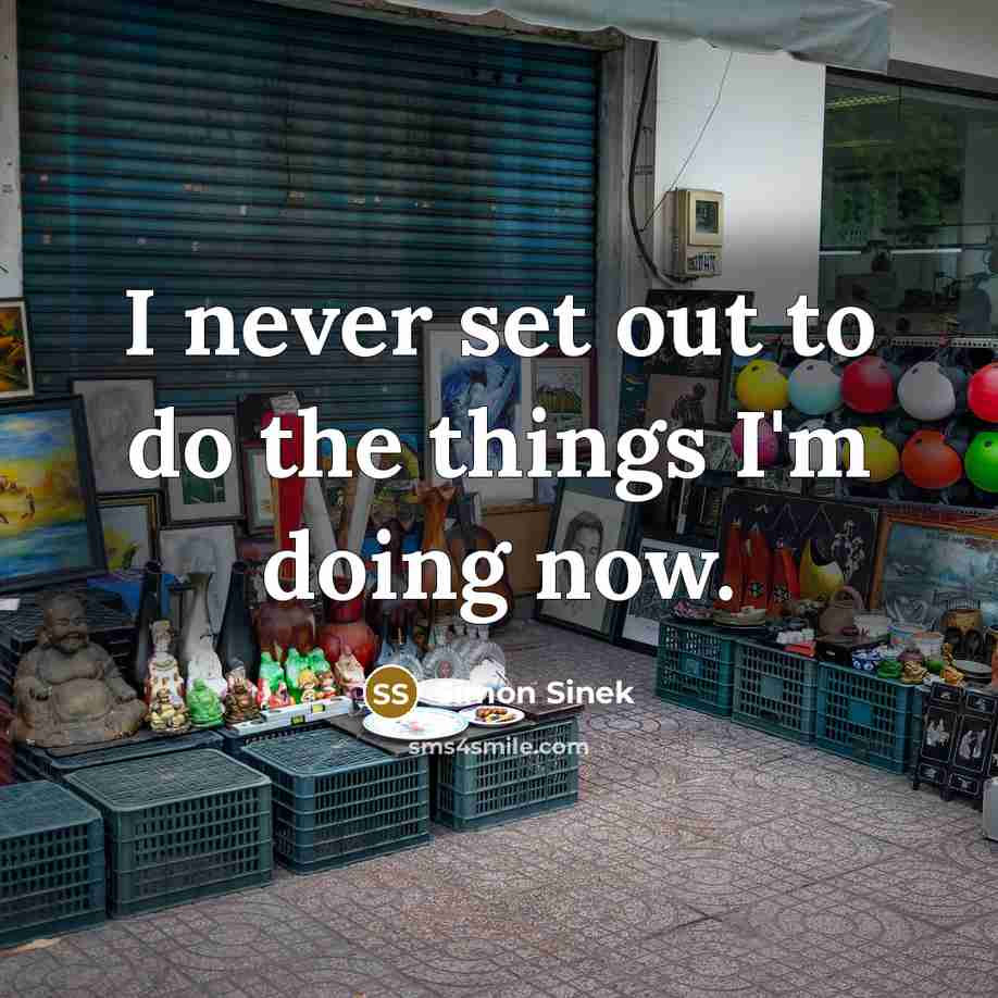 “I never set out to do the things I'm doing…” quote by Simon Sinek