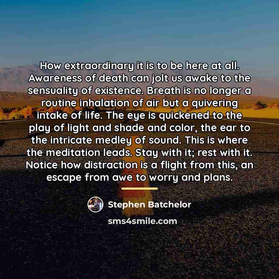 “How extraordinary it is to be here at all. Awareness…” quote by Stephen Batchelor