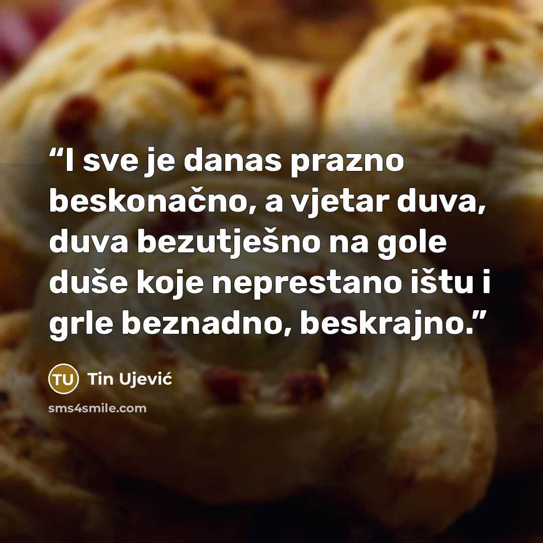 “I sve je danas prazno beskonačno, a vjetar duva, duva bezutješno na gole duše koje neprestano ištu i grle beznadno, beskrajno.” quote by Tin Ujević