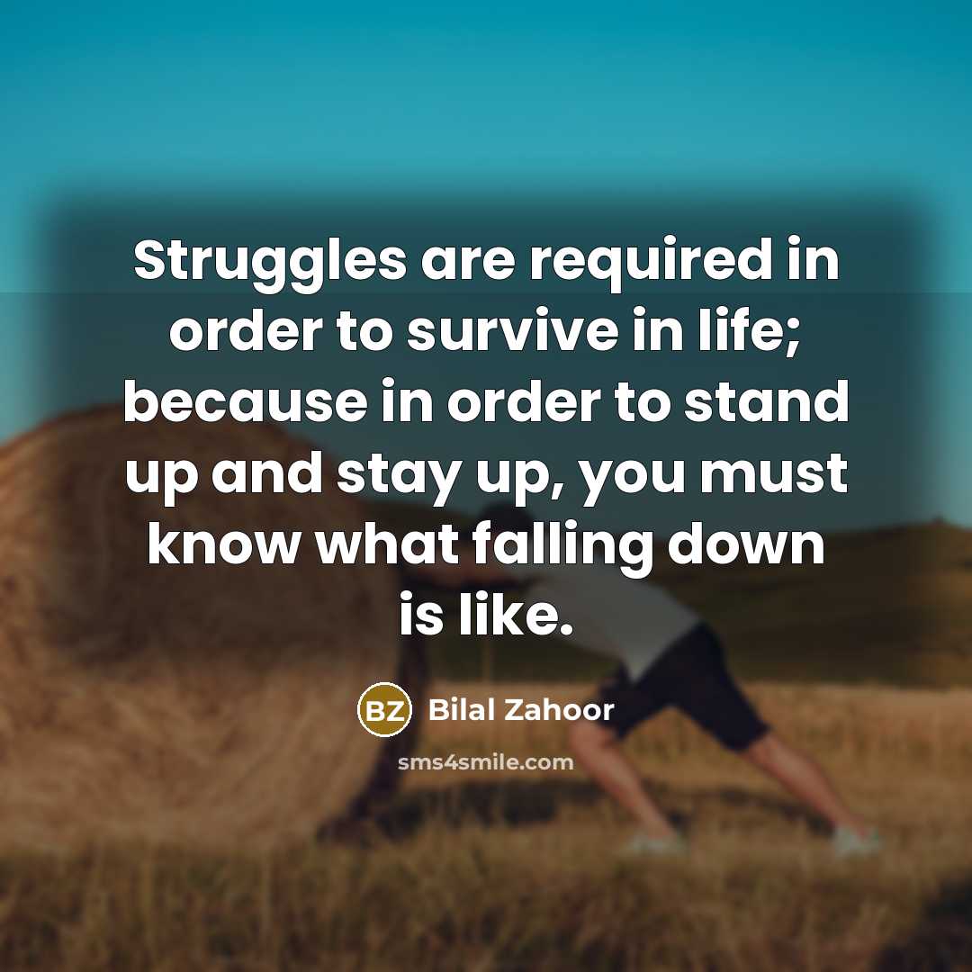 “Struggles are required in order to survive in life; because…” quote by Bilal Zahoor