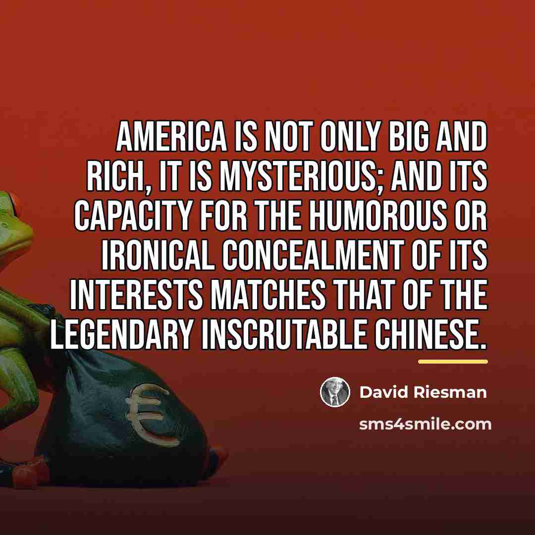 “America is not only big and rich, it is mysterious;…” quote by David Riesman